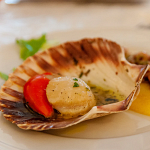 Scallops